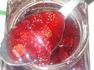 sumske jagode slatko