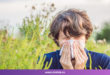 Alergija na ambroziju- simptomi i lečenje