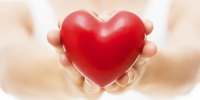 Danas je Svetski dan srca – “Srcem upoznaj srce”