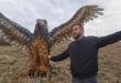 Drvena statua orla “nadgleda” pirotsku kotlinu